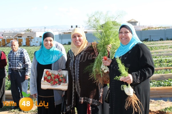 re7la tolkarem (59).JPG